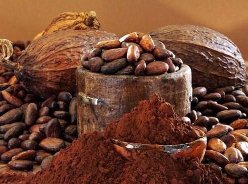 Какао продукт з масовим вмістом жиру 4-6%, харчовий, промисловий, виробництво.