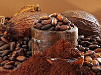 Какао продукт с массовым содержанием жира 4-6%, пищевой, промышленный, производство Украина