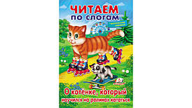 Пегас ВЧ ПРО кошеня, який навчився на роликах кататися (Рос)