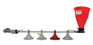 Лінії годівлі птиці