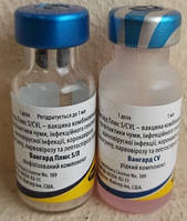 Вакцина Вангард 5/CV-L Plus 1 доза