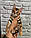 Хлопчик бенгал, д. 10.05.2020. Бенгальські кошенята з вихованця Royal Cats. Україна, Київ, фото 4