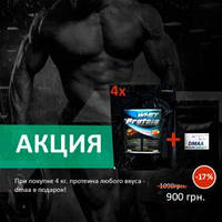 4 кг PROTEIN WPC + WPH 78% + ДМАА