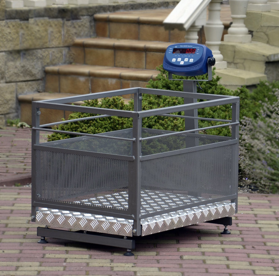 Ваги для зважування поросят BDU150C-0608X, фото 1