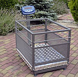 Ваги для зважування поросят BDU150C-0608X, фото 2