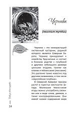 Трави для вашого здоров'я – Уїнстон Дж. Крейг (рос.), фото 5