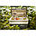 Автохолодильник, холодильник туристичний Camry CR 8065 з ручкою 24 л/65 Вт Сірий, фото 9