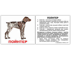 Комплект карток "Породи собак" з фактами
