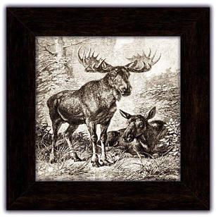 Картина класична Лосі покл02к20х20