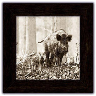 Картина класична Дикий кабан з потомством покл03к20х20