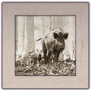 Картина класична Дикий кабан з потомством покл03б20х20