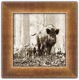 Картина класична Дикий кабан з потомством покл03кв20х20