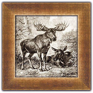 Картина класична Лосі покл02кв20х20