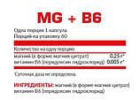 Магний Б6 Nosorog Nutrition MgB6 60caps, фото 3