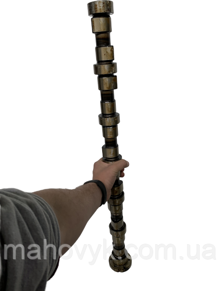 Распредвал 3954099/3979506/4896421/3954100, фото 1