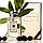 Жіночий аромат Jo Malone Blackberry & Bay 30 мл, фото 7