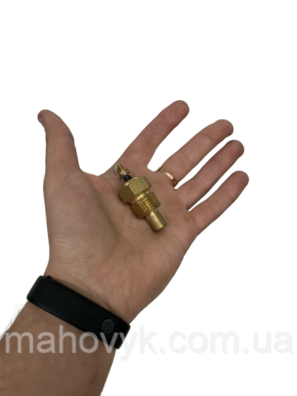 Датчик температури масла КПП WG1371E