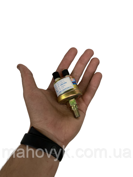 Датчик давления масля 3967251/3968300