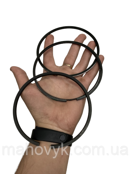 3802429/3802258 Поршневые кольца Cummins C8.3, фото 1