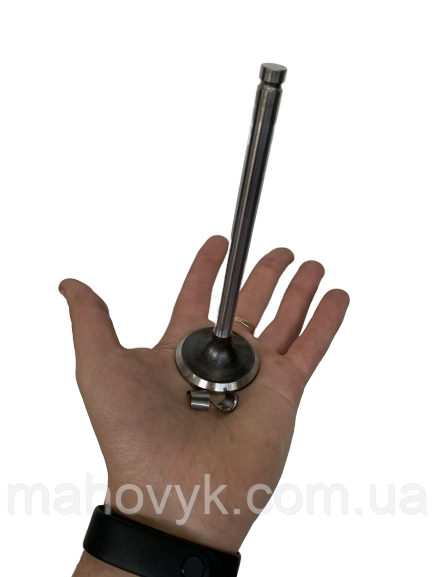 3921444/3902254/3802085 Выпускной клапан Cummins C8.3, фото 1