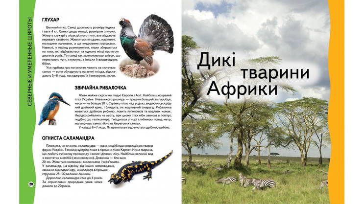 Книга для дітей "Енциклопедія тварин" Пегас, фото 2