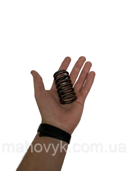 61500050001 Внутренняя пружина клапана WD615