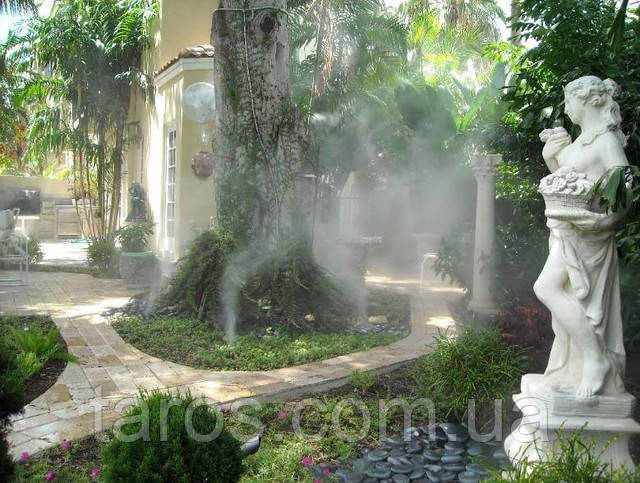 Туманоутворення, фото 1