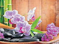 Флизелиновые 3D фотообои в гостиную природа цветы 312x219 см Орхидеи и камни (115VEXXL)+клей