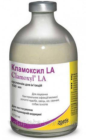 Кламоксил ЛА, 100мл, фото 1