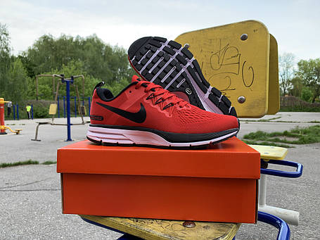 Чоловічі кросівки Nike Zoom Pegasus 31, фото 1