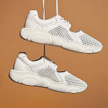 Жіночі білі шкіряні кросівки з перфорацією Ted Dream відкриті літні, фото 9