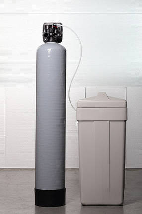 Фільтр знезалізнення і пом'якшення води Ecosoft FK1054CIMIXP, фото 2