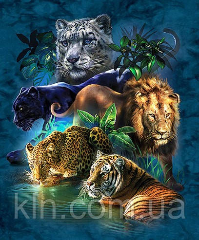 Алмазна вишивка Дика природа 40 х 50 см (арт. FS940) квадратні камені, фото 1