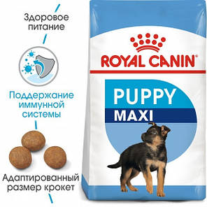 Сухий корм Royal Canin Maxi Puppy для цуценят великих порід до 15 місяців 4 кг, фото 2