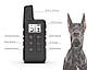 Електронашийник DT-884 Чорний для дресирування собак, електронний нашийник акумуляторний з екраном, фото 8