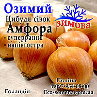 Цибуля сівок озима Амфора (Amfora), Голландії, 1 кг