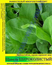 Насіння щавлю «Широколистий» 500 г