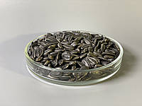 Соняшник насіння мікрогрін екосемена microgreens seeds non gmo certified Вага 1 кг
