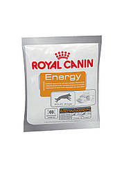 Ласощі для собак Royal Canin Energy (Роял Канін Енерджі), 50г.