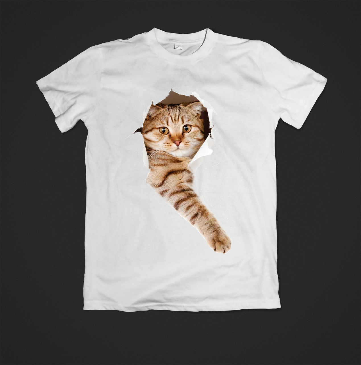 Футболка жіноча з веселим принтом Cat, фото 1