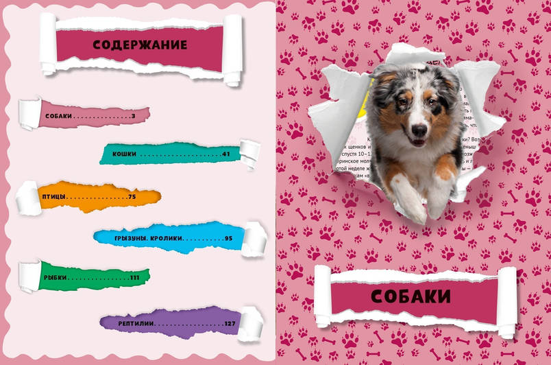Віват Домашні вихованці. Енциклопедія, фото 3