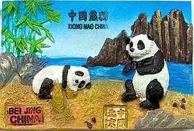 Магніт на холодильник "Панди", магніт природа Китаю