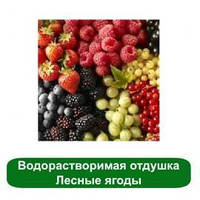 Віддушка Стиглі лісові ягоди 10 мл