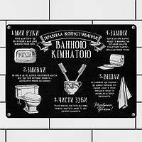 Металева табличка Правила користування ванною кімнатою 26*18,5*0,45 см (MET_20J076_SER)