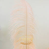 Перо страуса, цвет Shell Pink, размер 35-40cм, 1шт
