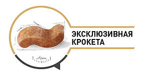 Сухий корм Royal Canin Boxer Adult для дорослих собак старше 15 місяців 12 кг, фото 3