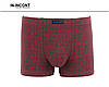 Дитячі труси боксери стрейчеві на хлопчика Марка «IN.INCONT» Арт.9621, фото 6