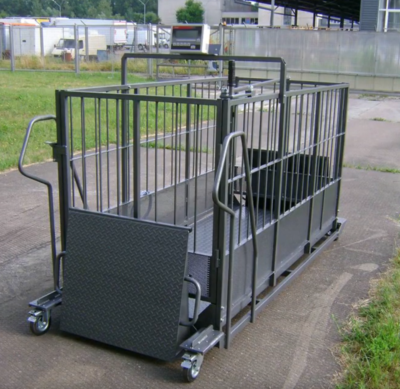 Ваги для свиней 4BDU600Х-0819-Б, фото 1