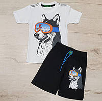 Летний костюм для мальчика футболка с шортами "лайка"/размер 2-7 лет/ 2