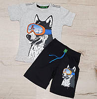 Летний костюм для мальчика футболка с шортами "лайка"/размер 2-7 лет/ 2